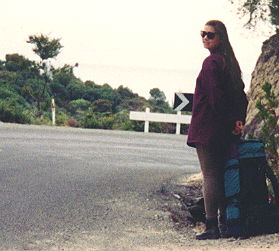 Hitchhiking partner