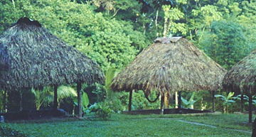 Palapa campground